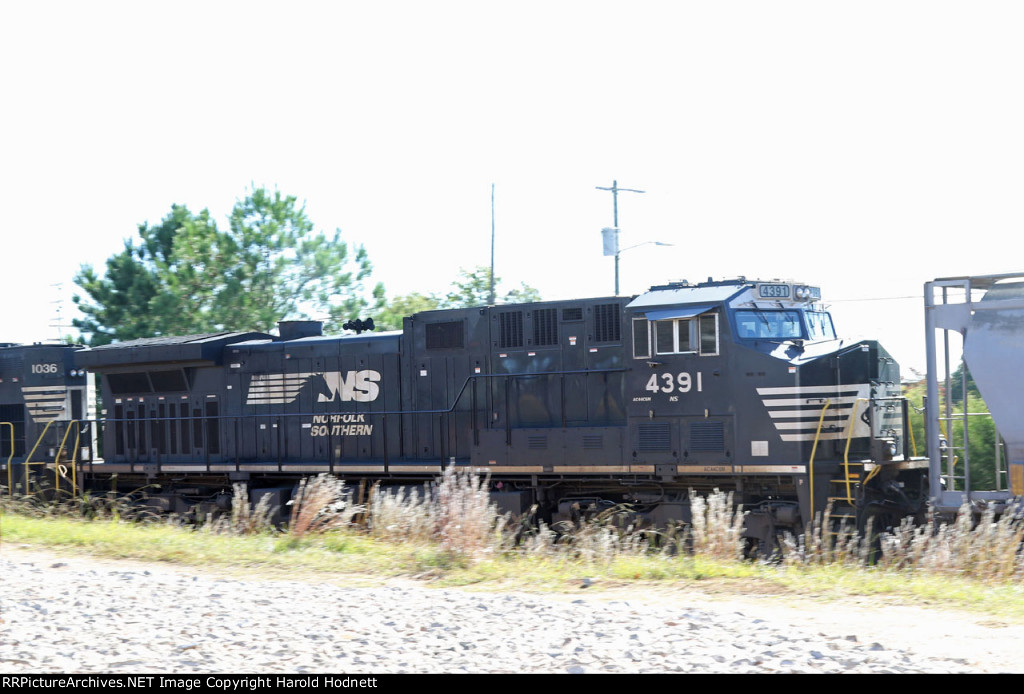 NS 4391